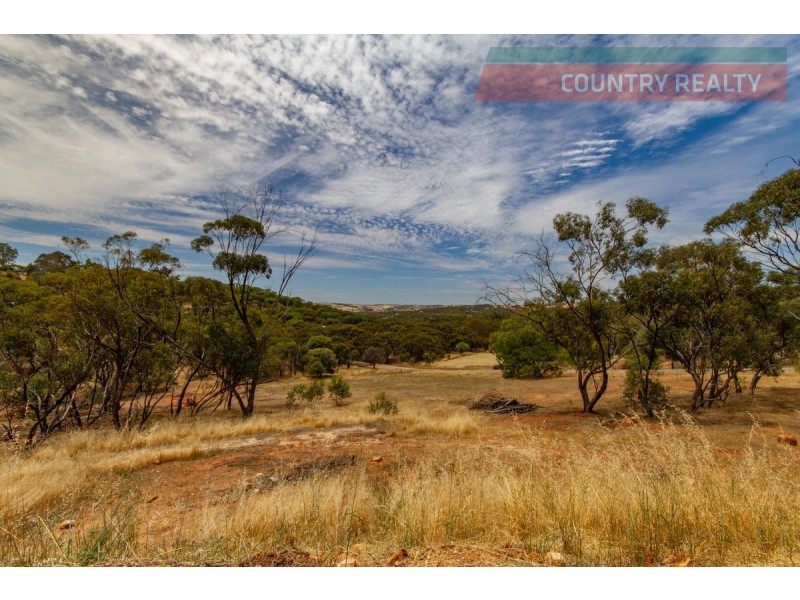 11 Weir Road, Toodyay WA 6566