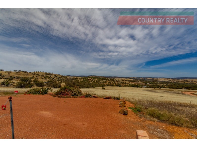 95 Dawson Road, Dumbarton WA 6566