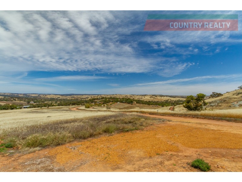 95 Dawson Road, Dumbarton WA 6566