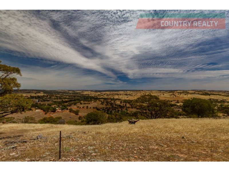 95 Dawson Road, Dumbarton WA 6566