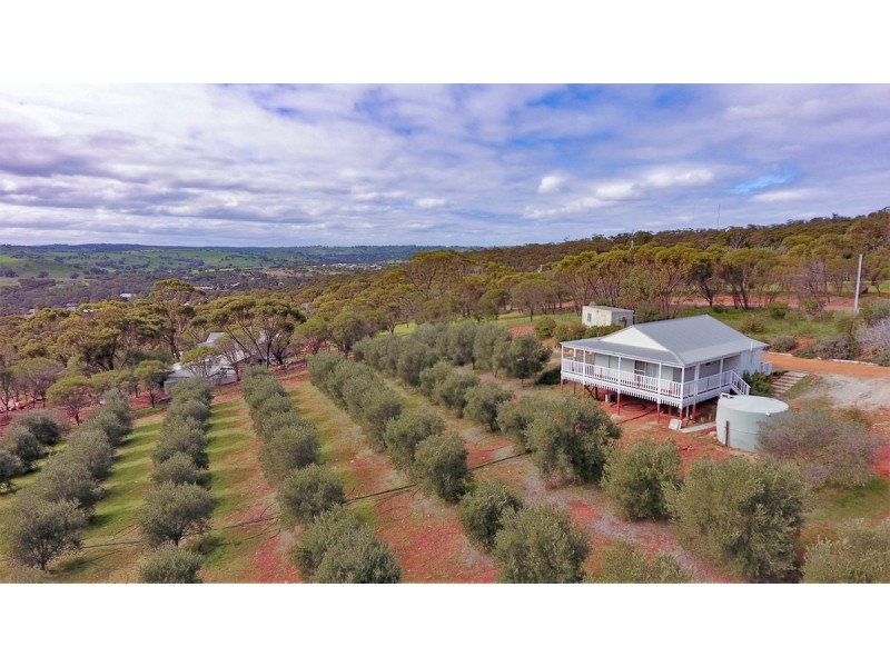 76 Folewood Road, Toodyay WA 6566