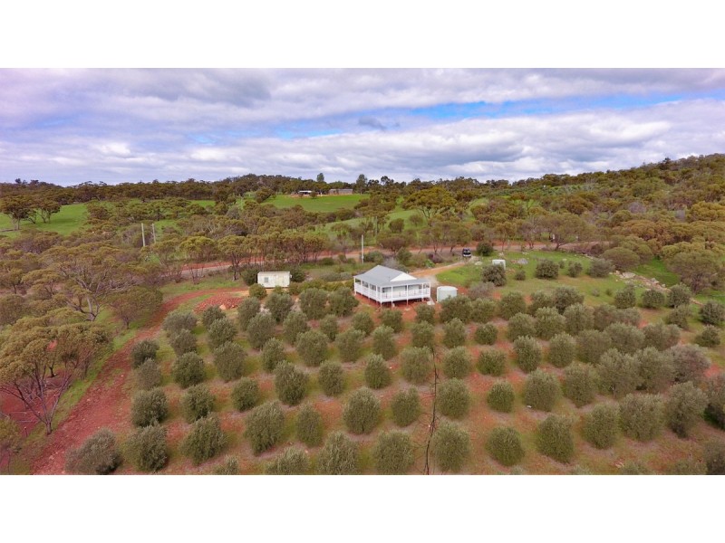 76 Folewood Road, Toodyay WA 6566