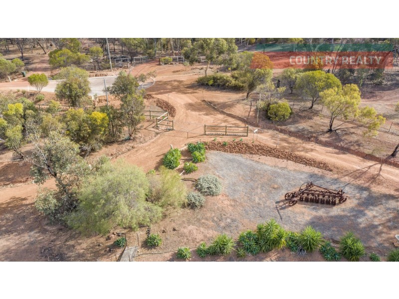 28 Hemiandra Place, Toodyay WA 6566