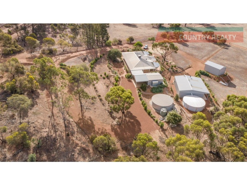 28 Hemiandra Place, Toodyay WA 6566