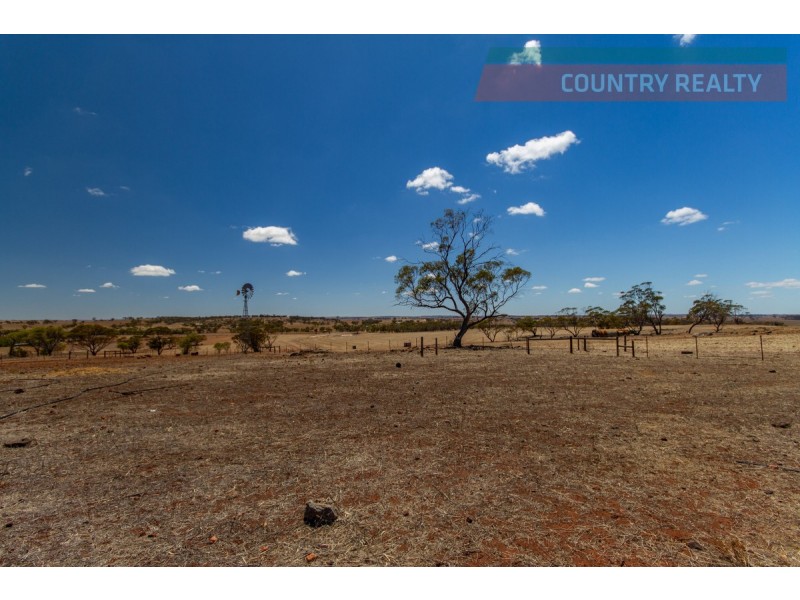 774 Bebakine Road, Mumberkine WA 6401
