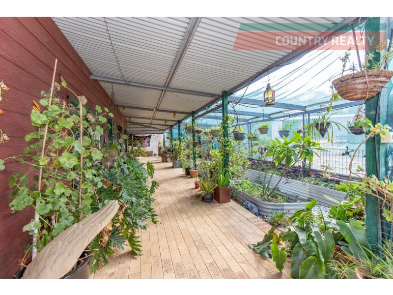 6 Red Gum Circle, Toodyay WA 6566