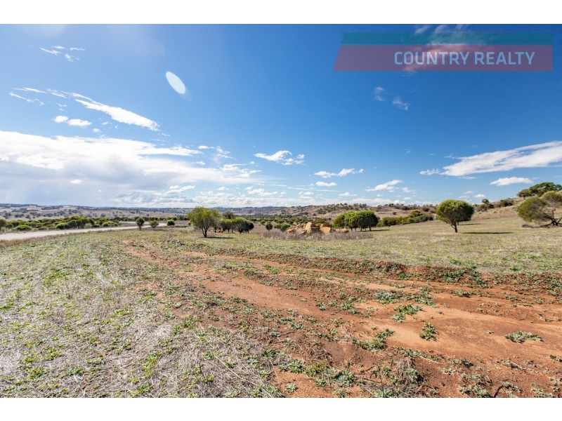 104 Nockdominie Road, Toodyay WA 6566