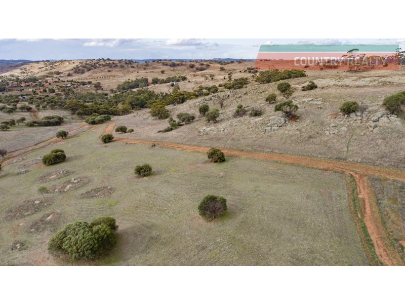 104 Nockdominie Road, Toodyay WA 6566