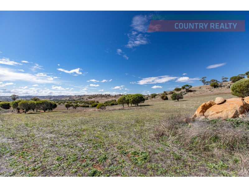 104 Nockdominie Road, Toodyay WA 6566