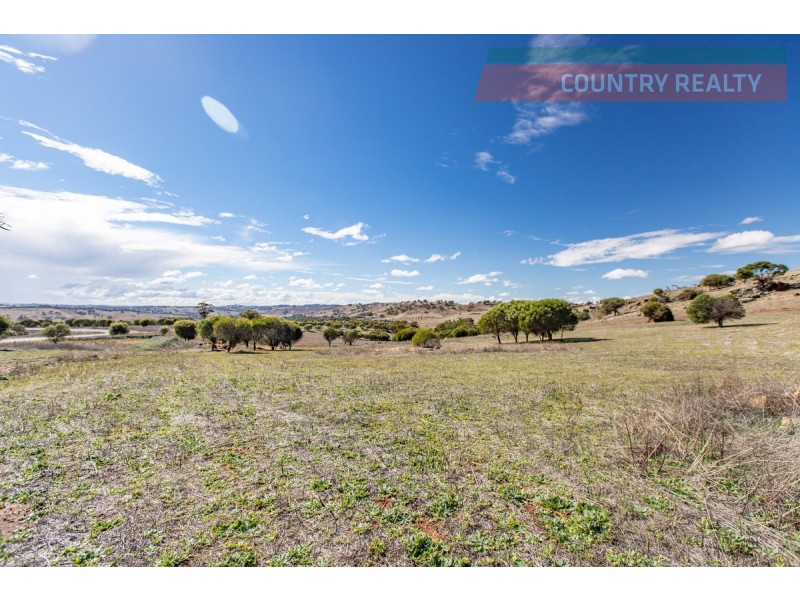 104 Nockdominie Road, Toodyay WA 6566