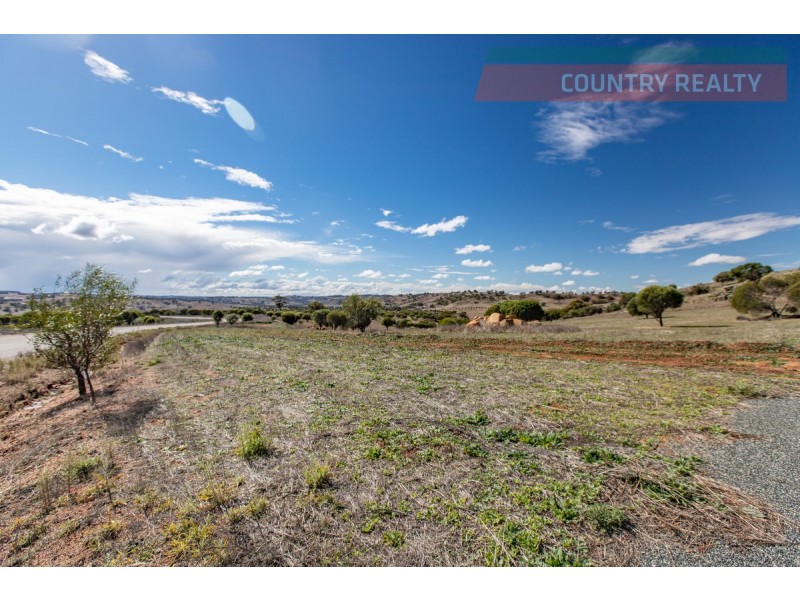 104 Nockdominie Road, Toodyay WA 6566