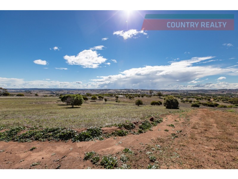 104 Nockdominie Road, Toodyay WA 6566