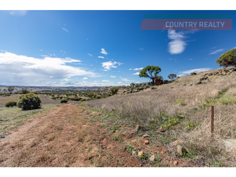 104 Nockdominie Road, Toodyay WA 6566