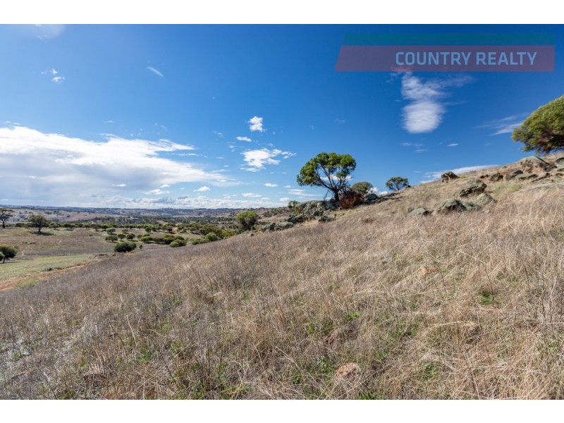 104 Nockdominie Road, Toodyay WA 6566