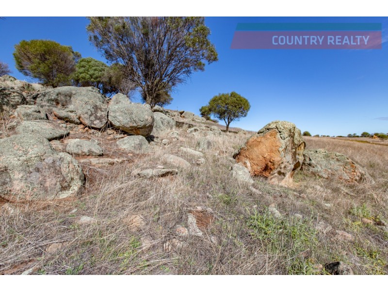 104 Nockdominie Road, Toodyay WA 6566
