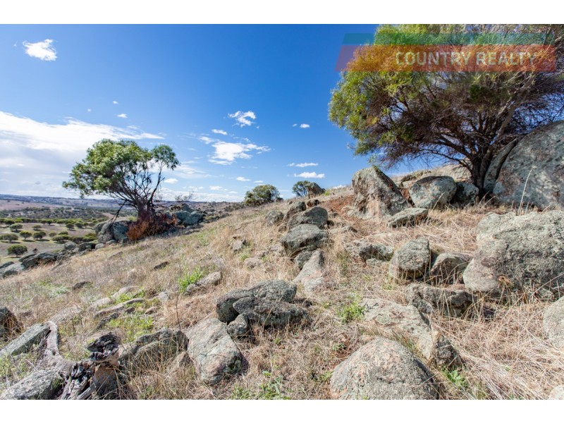 104 Nockdominie Road, Toodyay WA 6566