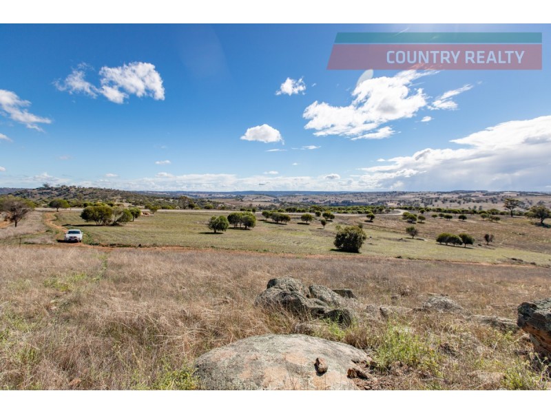 104 Nockdominie Road, Toodyay WA 6566