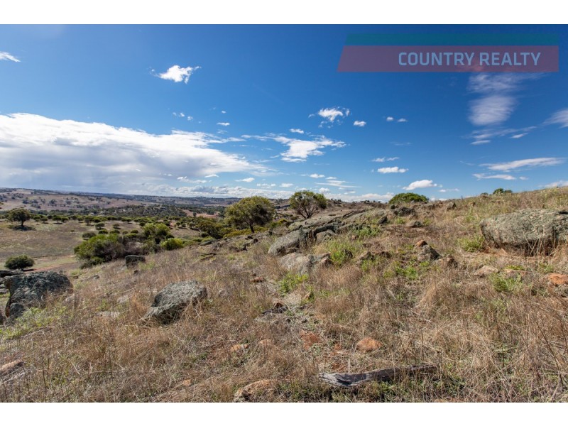 104 Nockdominie Road, Toodyay WA 6566