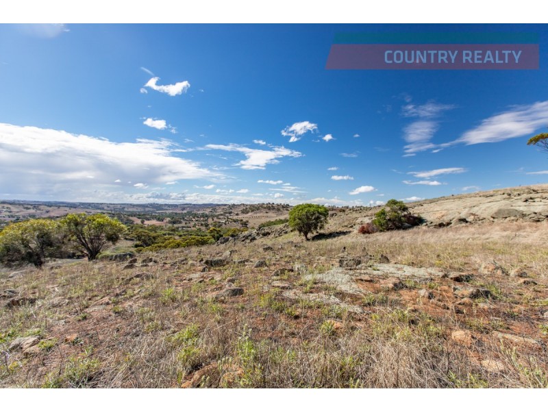 104 Nockdominie Road, Toodyay WA 6566