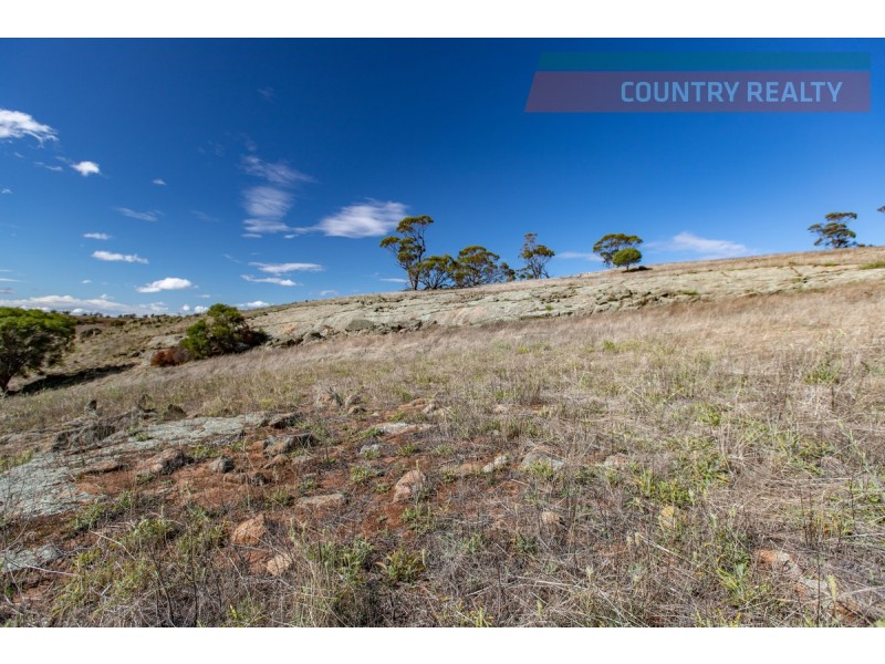 104 Nockdominie Road, Toodyay WA 6566