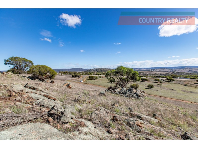 104 Nockdominie Road, Toodyay WA 6566