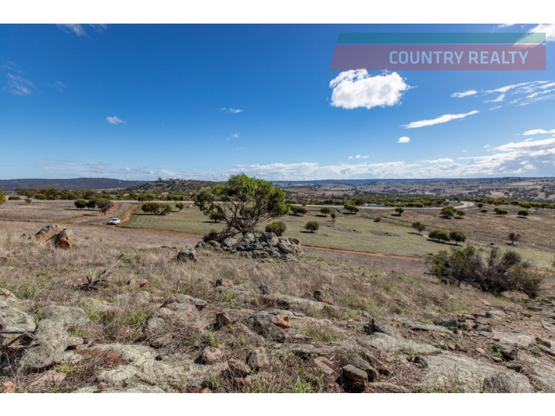 104 Nockdominie Road, Toodyay WA 6566