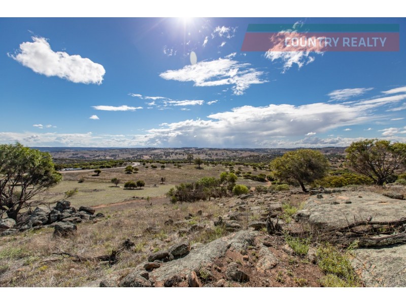 104 Nockdominie Road, Toodyay WA 6566