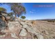 104 Nockdominie Road, Toodyay WA 6566