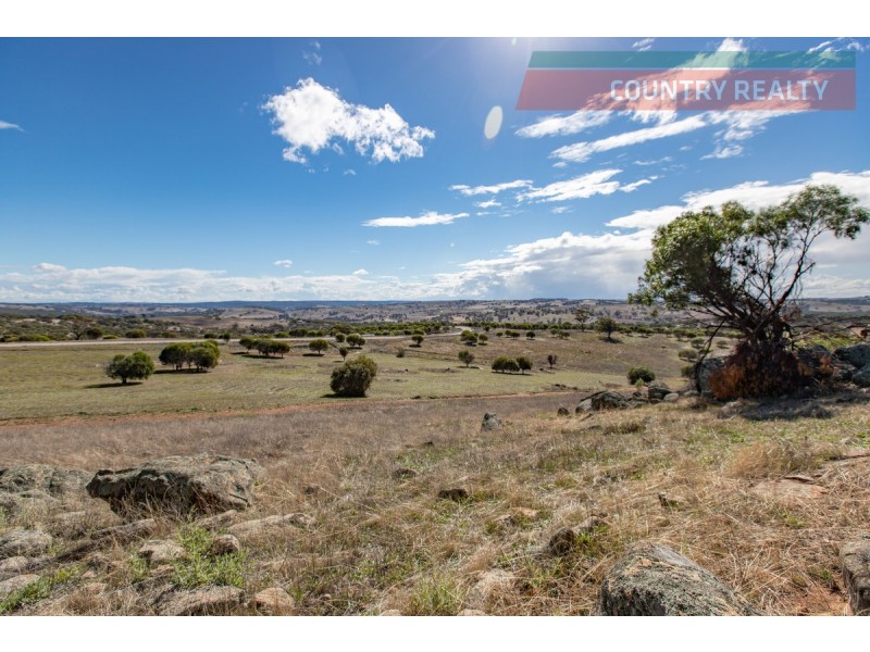 104 Nockdominie Road, Toodyay WA 6566
