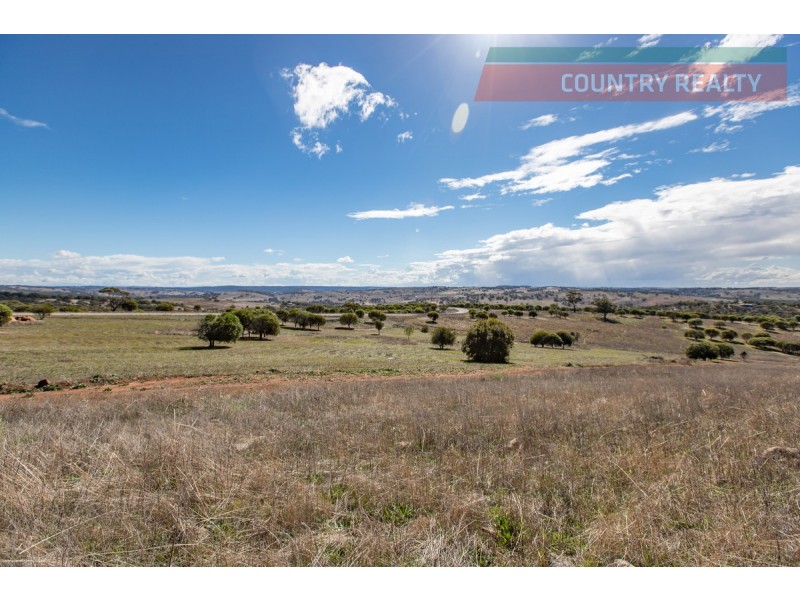 104 Nockdominie Road, Toodyay WA 6566