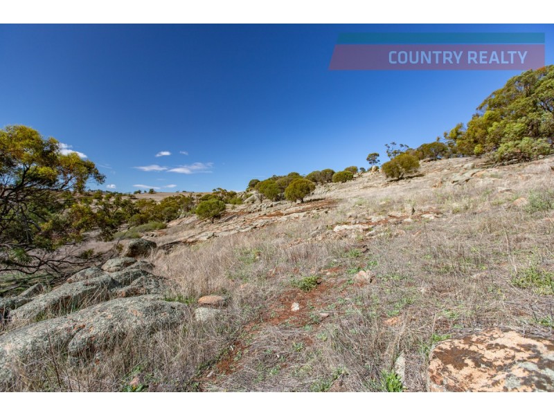 104 Nockdominie Road, Toodyay WA 6566