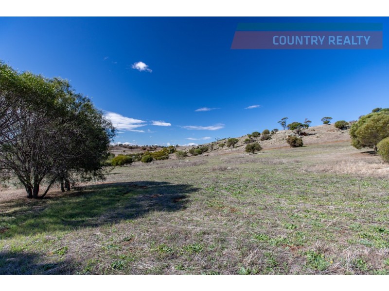 104 Nockdominie Road, Toodyay WA 6566