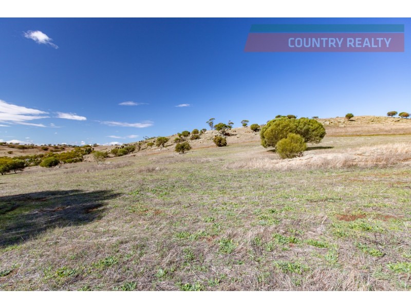 104 Nockdominie Road, Toodyay WA 6566