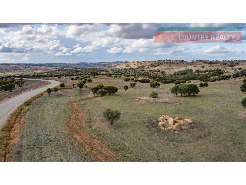 104 Nockdominie Road, Toodyay WA 6566