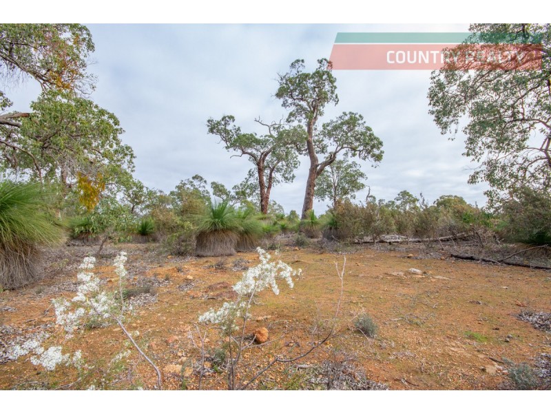 Lot 56 Darwinia Crescent, Toodyay WA 6566