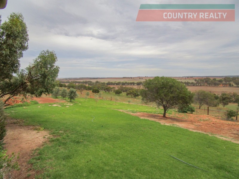 1366 Haddrill Road, Jennacubbine WA 6401