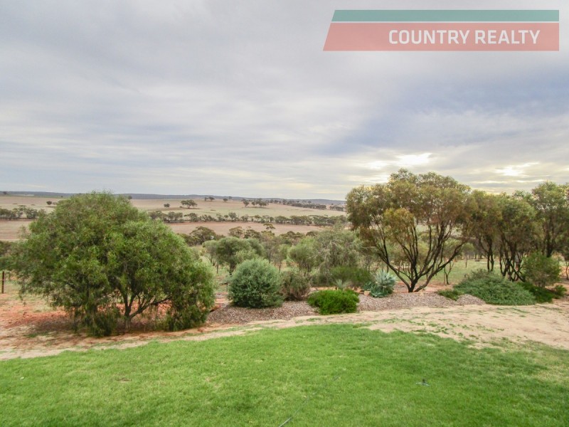 1366 Haddrill Road, Jennacubbine WA 6401