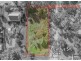 1 Little Street, York WA 6302