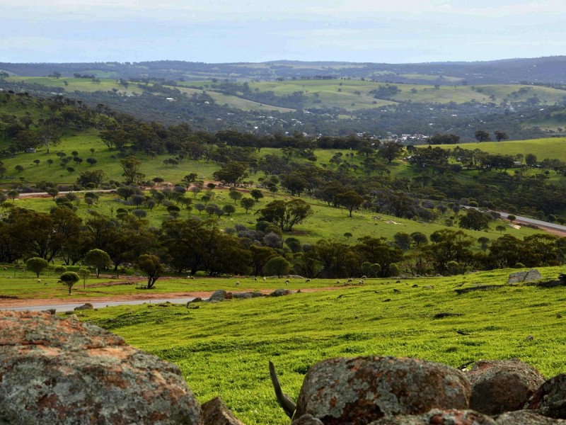 121 Whitelakes Road / WALKEY Heights, Toodyay WA 6566