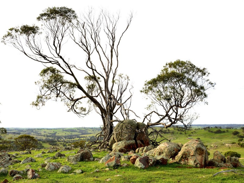 121 Whitelakes Road / WALKEY Heights, Toodyay WA 6566