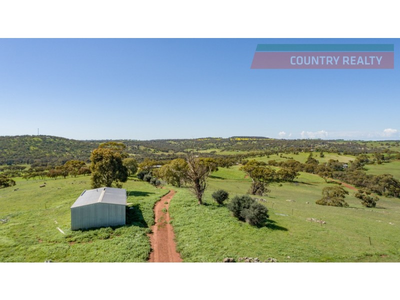 110 Coondle West Road, Toodyay WA 6566