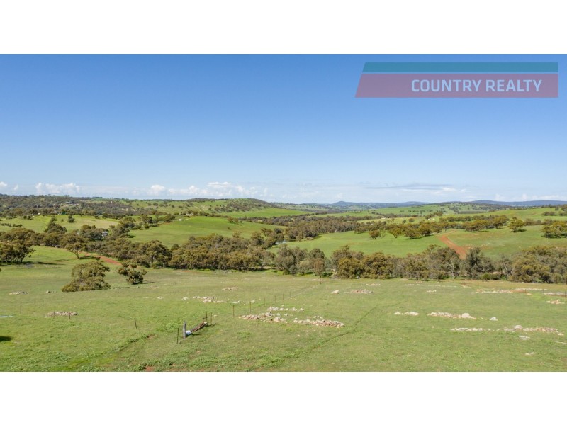 110 Coondle West Road, Toodyay WA 6566