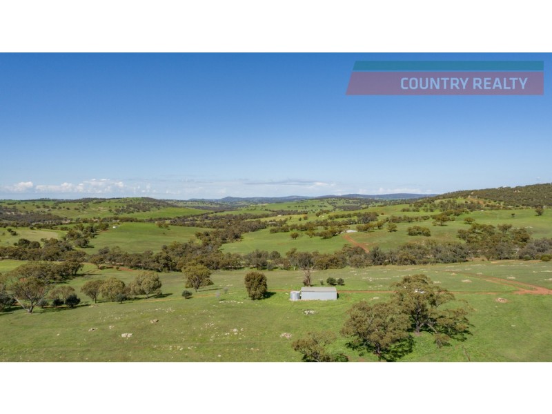 110 Coondle West Road, Toodyay WA 6566