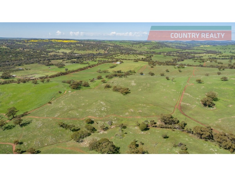 110 Coondle West Road, Toodyay WA 6566