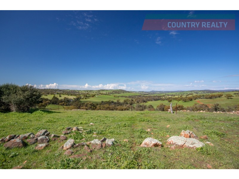 110 Coondle West Road, Toodyay WA 6566