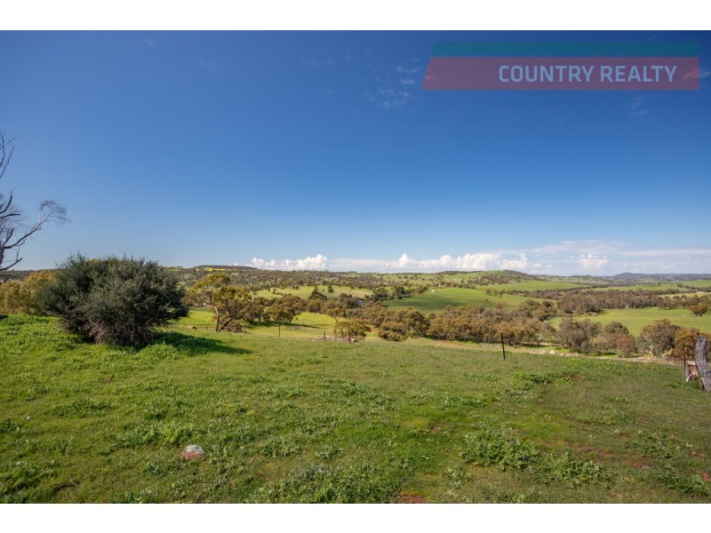 110 Coondle West Road, Toodyay WA 6566