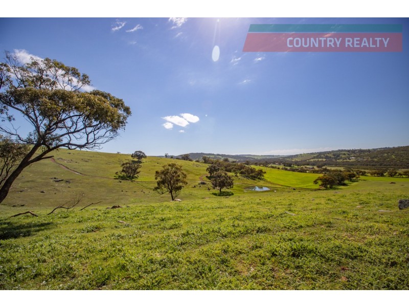 110 Coondle West Road, Toodyay WA 6566