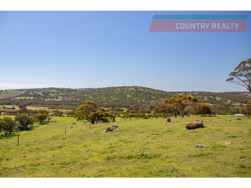 110 Coondle West Road, Toodyay WA 6566