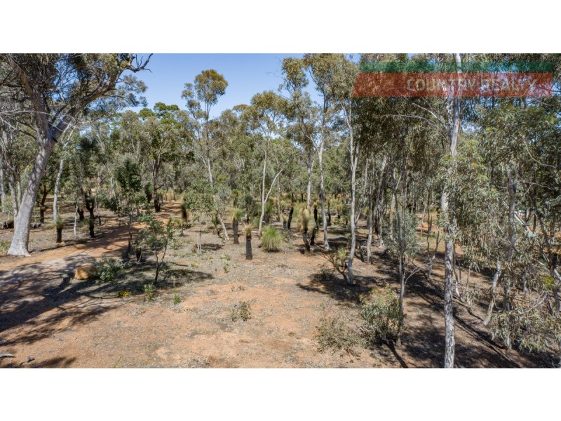 46 Darwinia Crescent, Toodyay WA 6566