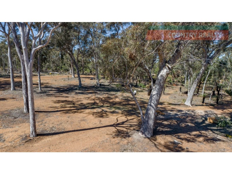 46 Darwinia Crescent, Toodyay WA 6566